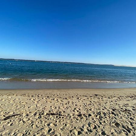 Lodge Cap Lège-Cap-Ferret المظهر الخارجي الصورة