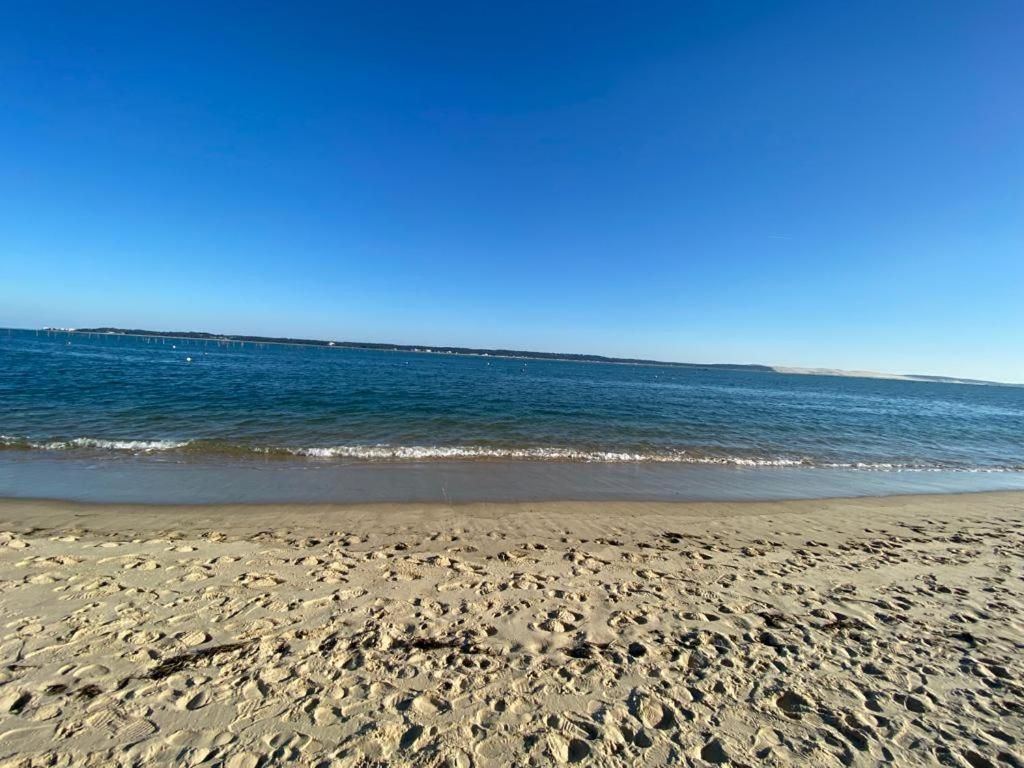 Lodge Cap Lège-Cap-Ferret المظهر الخارجي الصورة